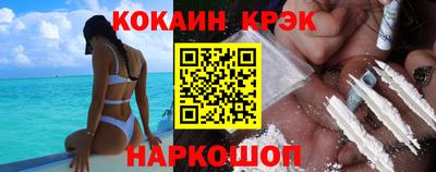 шишки Кандалакша