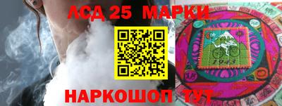 шишки Кандалакша