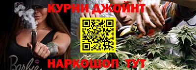 шишки Кандалакша