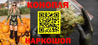 шишки Кандалакша