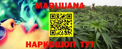 шишки Кандалакша