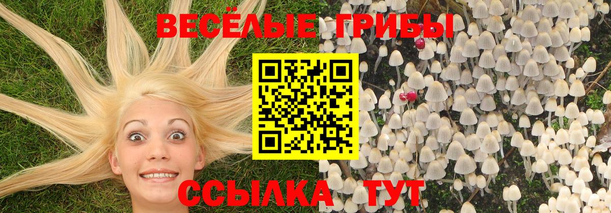 Псилоцибиновые грибы GOLDEN TEACHER  Вход с VPN  Крымск 